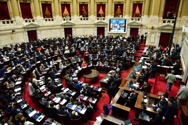 Diputados rechazó el veto de Milei a la ley de emergencia en Discapacidad