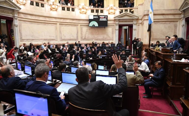 El Senado rechazó el veto a la emergencia en Discapacidad