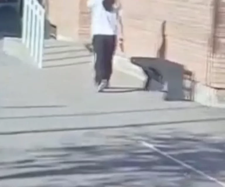 Una adolescente de 14 años se atrincheró en una escuela de Mendoza y disparó dos veces al aire