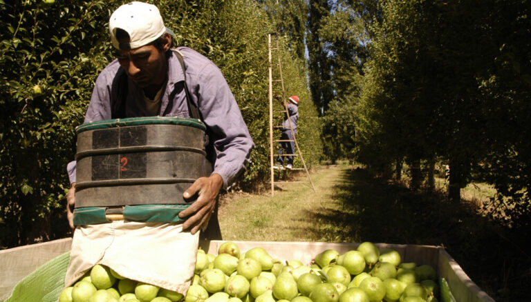 UATRE celebró la prórroga que permite compatibilizar planes sociales con trabajo rural temporario