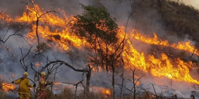 Chubut: aseguran que el incendio en Puerto Patriada fue intencional
